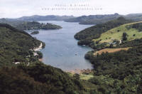 Port FitzRoy from Lookout Rock