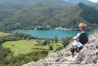 Port FitzRoy from Sunset Rock