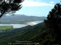 Whangapoua & Mabeys Beach